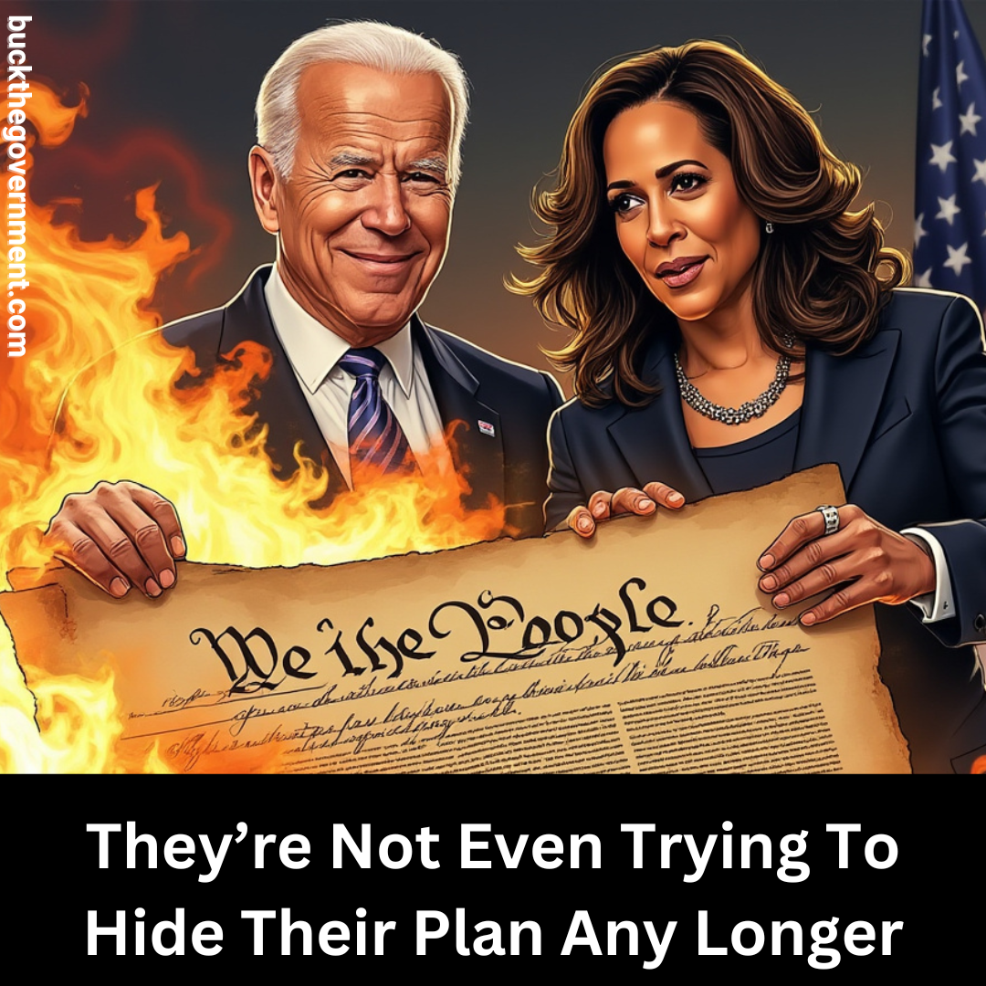 The Deliberate Disintegration of the U.S. Constitution by Corrupt Politicians:Time To Take Back America
