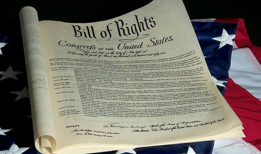 Our Government Has History Of Ignoring The Bill Of Rights